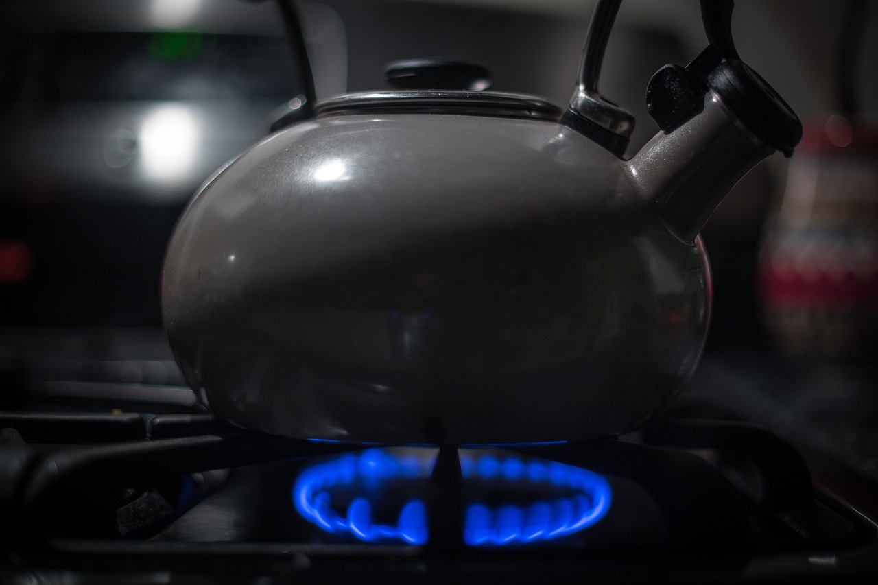 Top Innovative Eco-Friendly Products to Look Out For